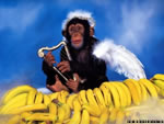 Scimmia che suona la lira